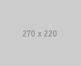 270X220